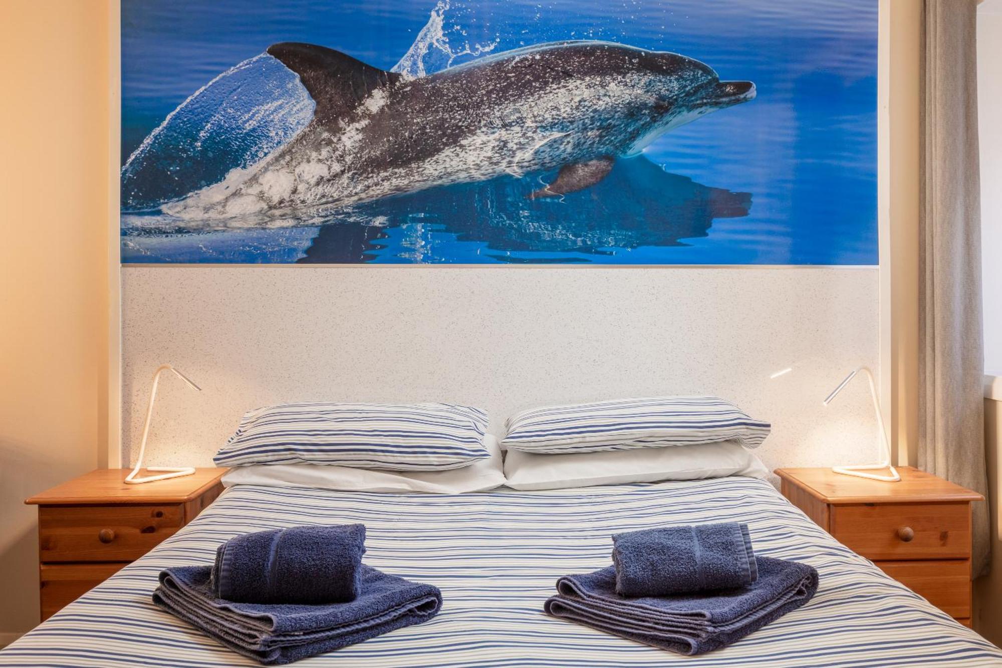 ويتبي Discovery Accommodation المظهر الخارجي الصورة